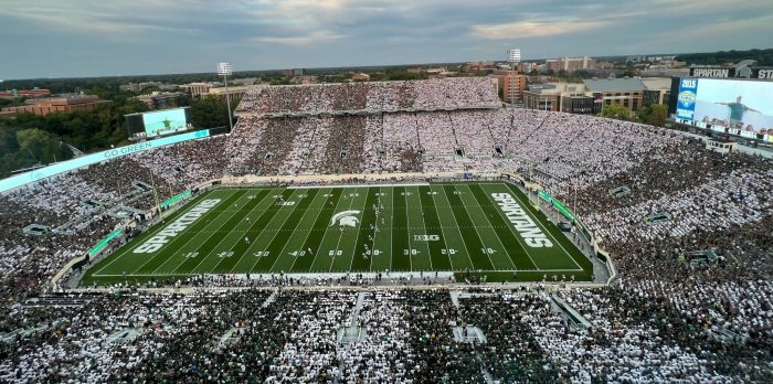 Michigan State University Spartan Stadium | Fulcrum Acoustic